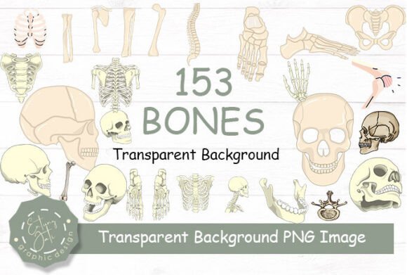 Download Bones Clipart PNG Transparent Background - Transparent Collection